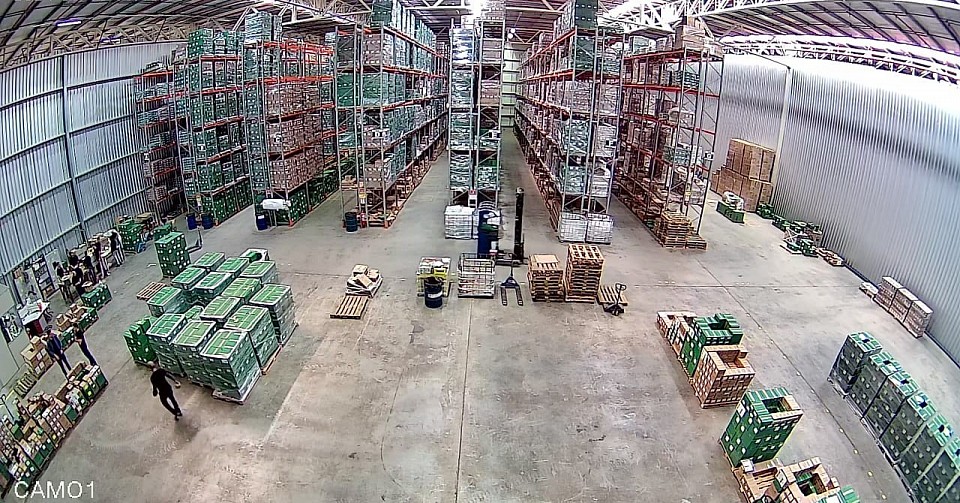 Imagem da Câmera MT- 2003CN 4x1 Fish Color Night